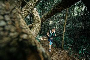 BIB: 
                            <button type="button" onclick="openModal(25705075)" class="btn btn-primary btn-sm float-right btn-popup" data-toggle="modal" data-target=".modal-high-quality">
                        <i class="fas fa-shopping-cart"></i> Add to Cart
                    </button>
                                            <button type="button" onclick="isThisMe(25705075, true)" class="btn btn-success btn-sm float-right btn-popup btn-isme hidden" data-toggle="tooltip" data-placement="bottom" title="นี่คือรูปของคุณใช่ไหม คลิกที่นี่เพื่อเอาเข้าอัลบั้ม">
                        <i class="fas fa-plus"></i> Add to album
                    </button>
                    <button type="button" onclick="isThisMe(25705075, false)" class="btn btn-warning btn-sm float-right btn-popup btn-isnotme hidden">
                        <i class="fas fa-ban"></i> Remove from album
                    </button>